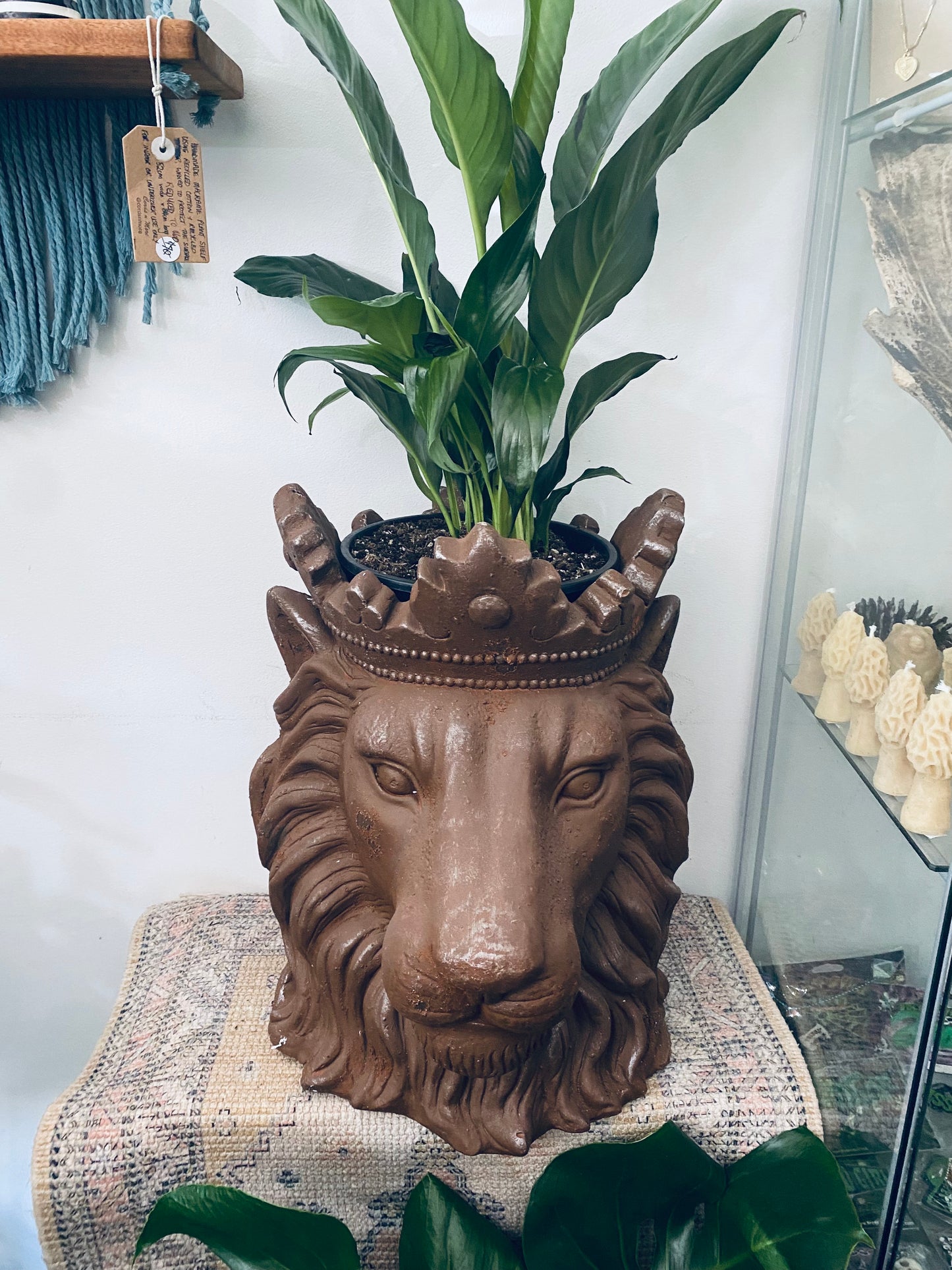 Jungle King and Elephant Planter