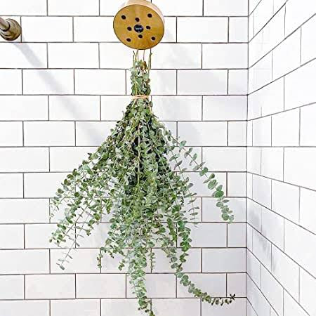 Eucalyptus Shower Steamer Bouquet (PICK UP ONLY)