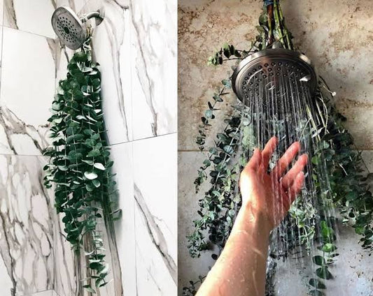 Eucalyptus Shower Steamer Bouquet (PICK UP ONLY)