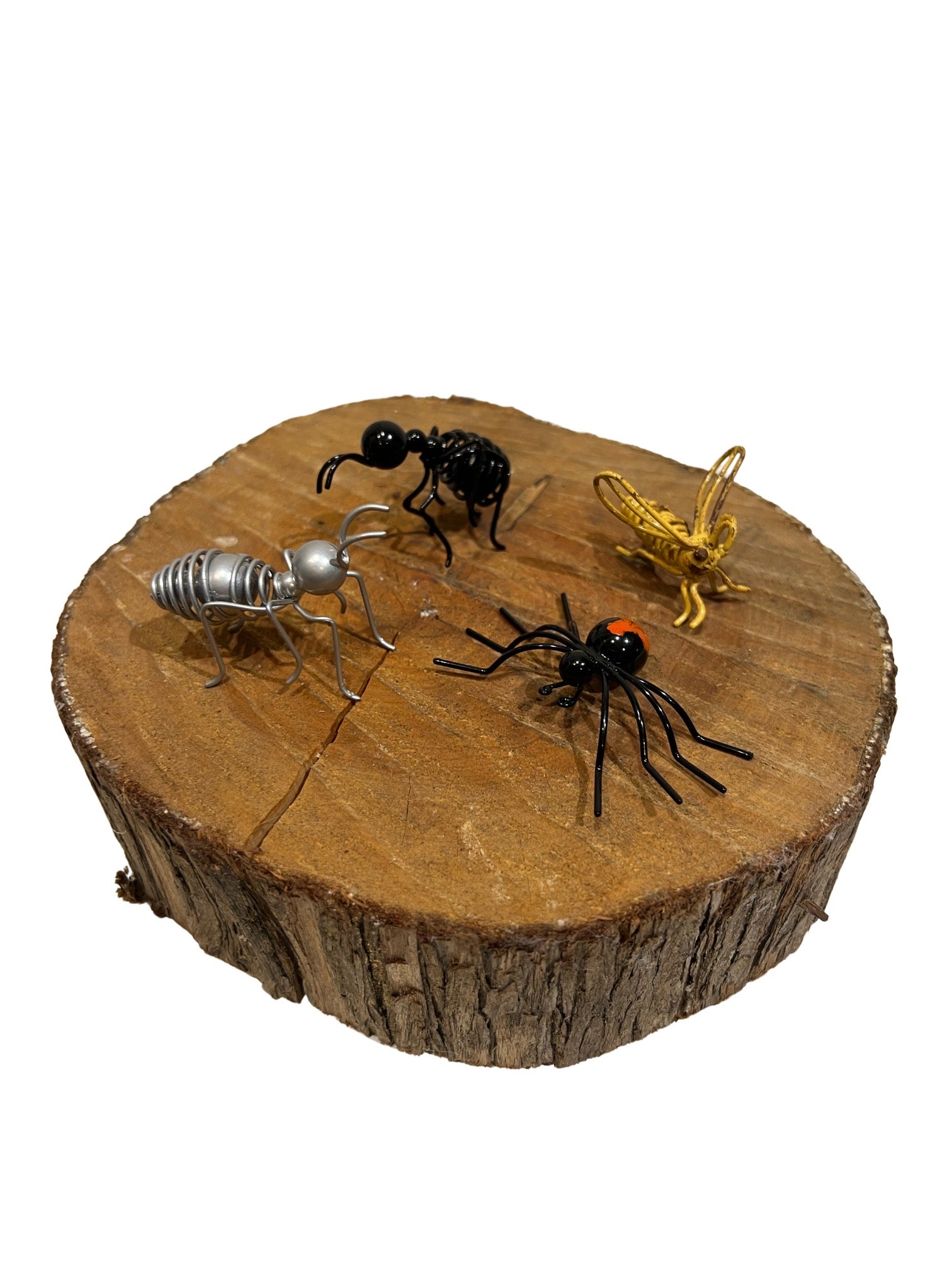 Terrarium bugs wherethewildthingsgrow4e0b