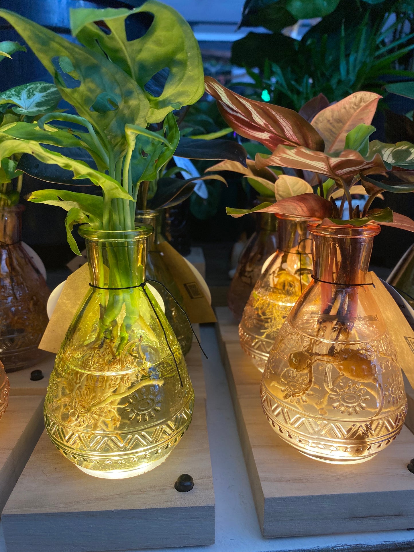‘Lit’ Hydro Range