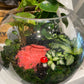 Fishbowl Terrariums