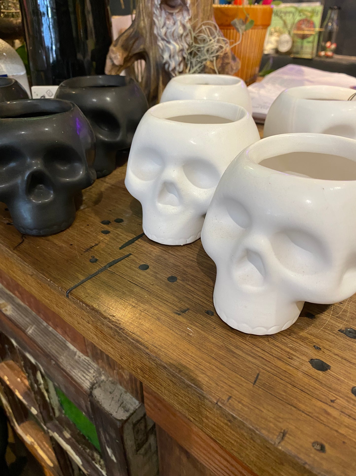 Skull Planters (mini) 60mm