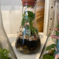 Alien Terrarium (Glow in the Dark)