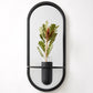 Botanical Mirrors
