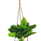 BIRDIE HANGING PLANTER