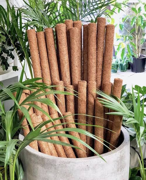 Coco Totem Poles