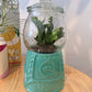GUMBALL TERRARIUMS (PICK UP ONLY)