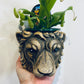 Wild Animal Planters Cement