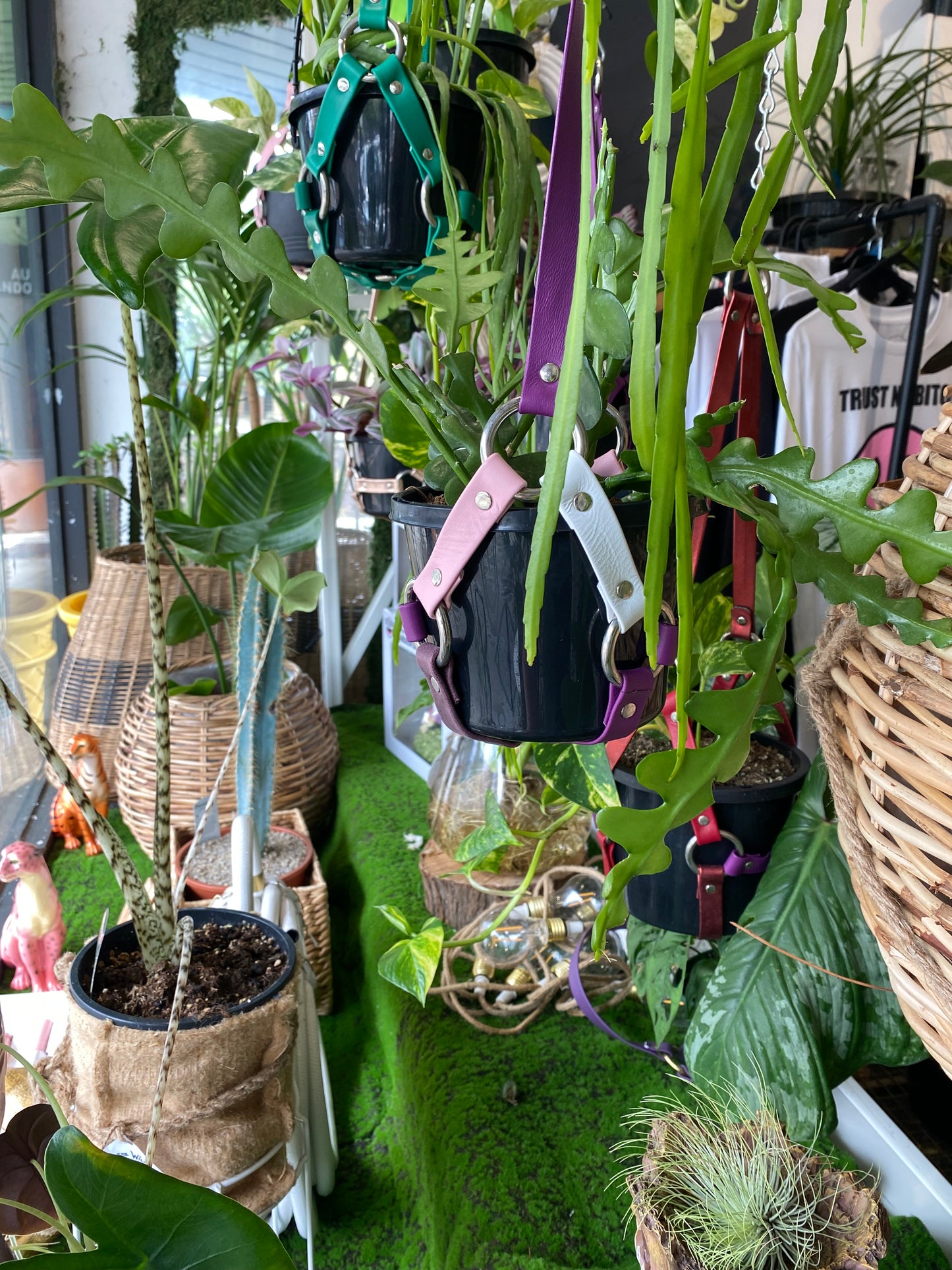 Leather Plant Hangers. Melbourne Made.