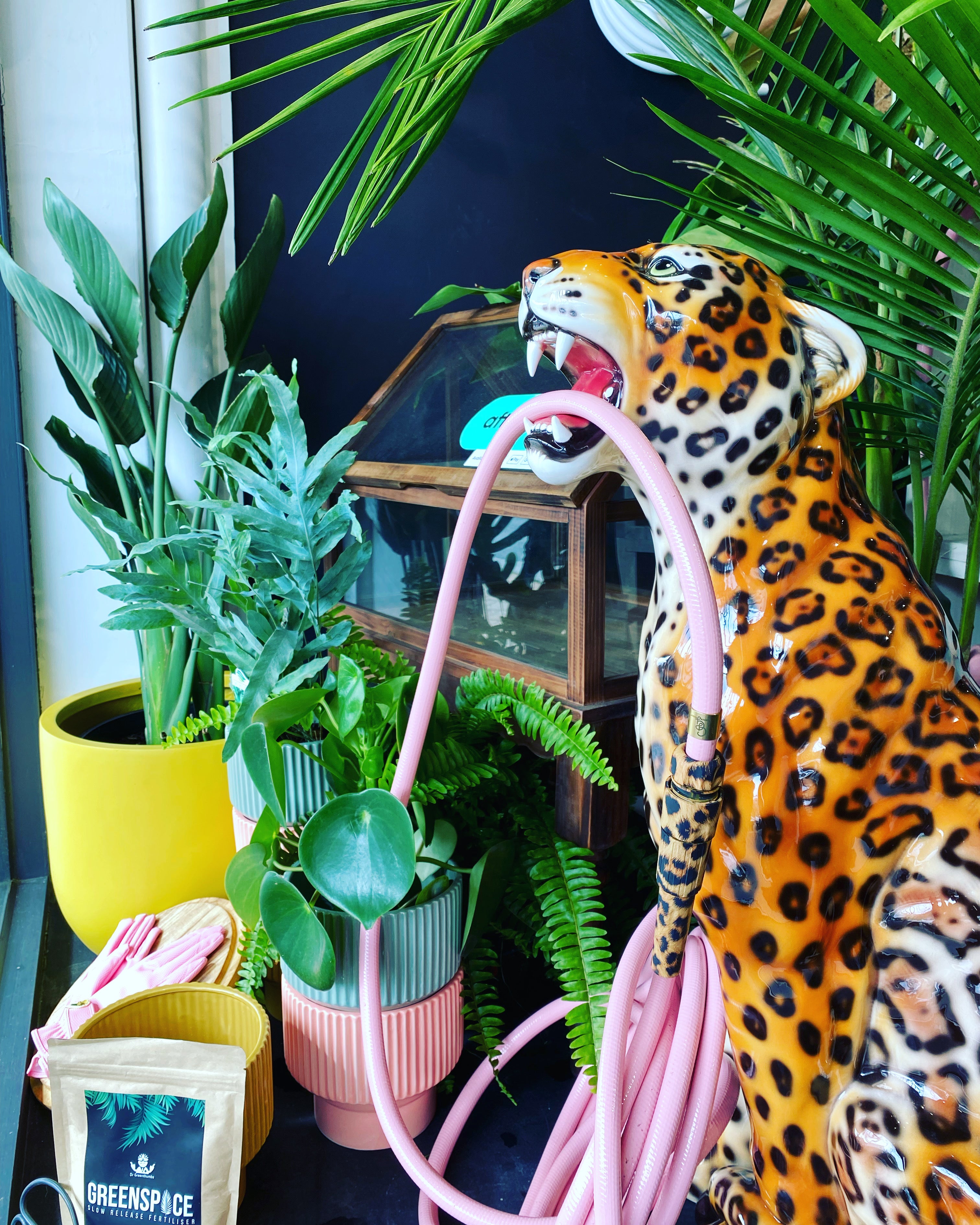 Indoor Plant Store wherethewildthingsgrow4e0b