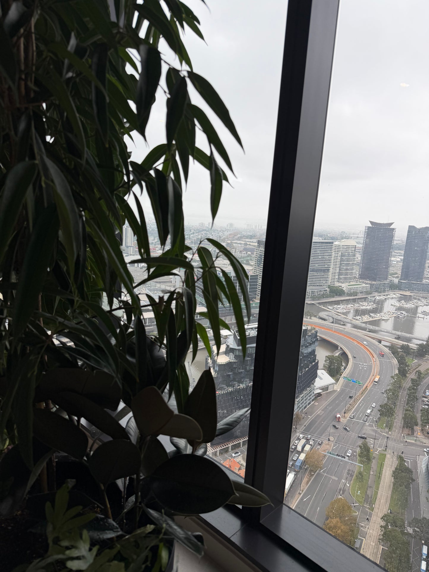 Commercial & Residential Indoor Plant Maintenance