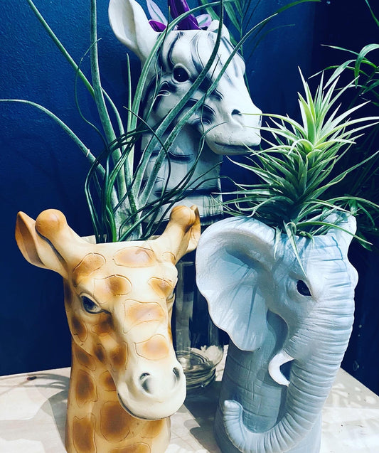 Tall Animal Planters