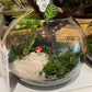 Fishbowl Terrariums