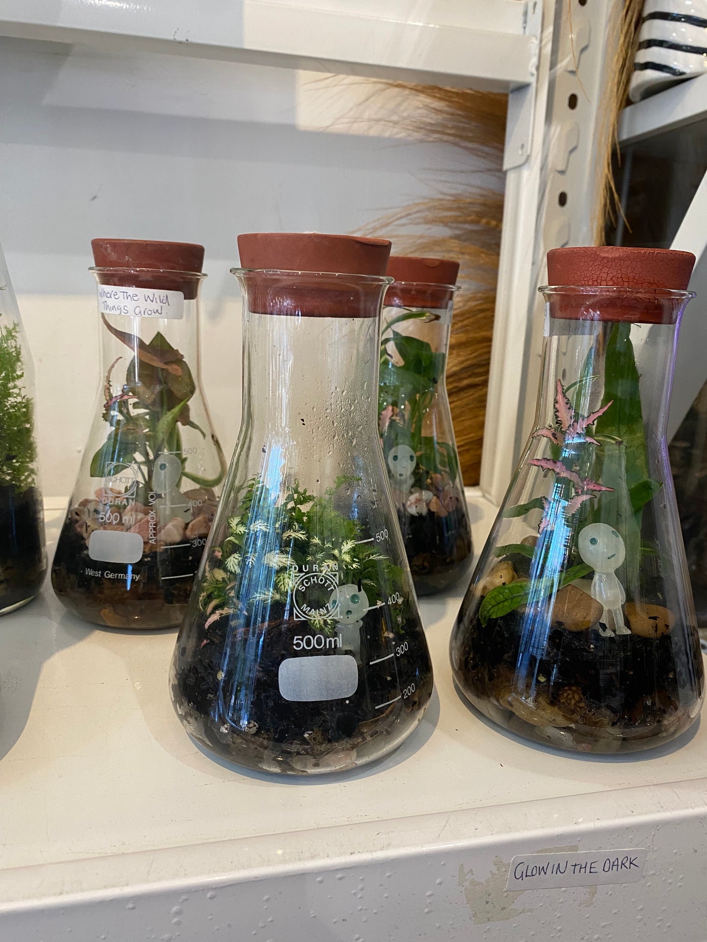 Alien Terrarium (Glow in the Dark)