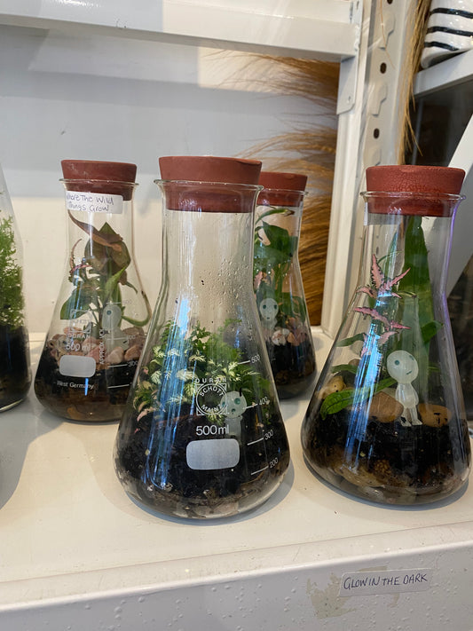 Alien Terrarium (Glow in the Dark)
