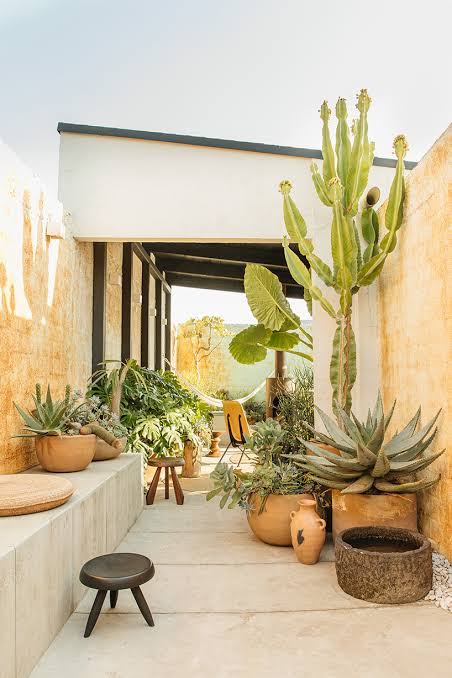 Commercial & Residential Indoor Plant Maintenance