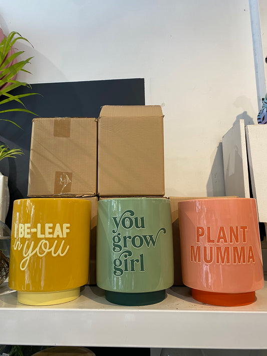CERAMIC PLANTERS - Three Available