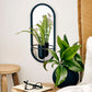 Botanical Mirrors