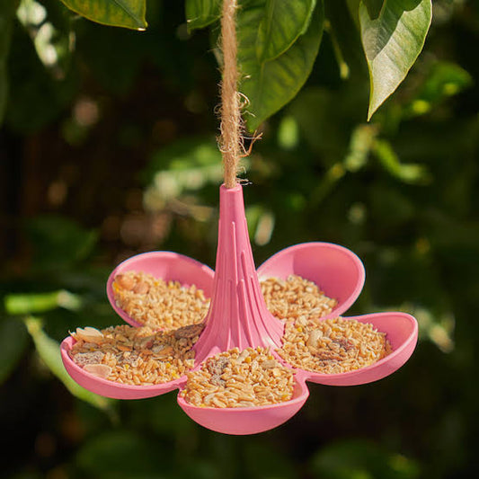 BIRD FEEDER. Hanging bamboo