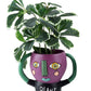 PLANT FREAK PLANTER