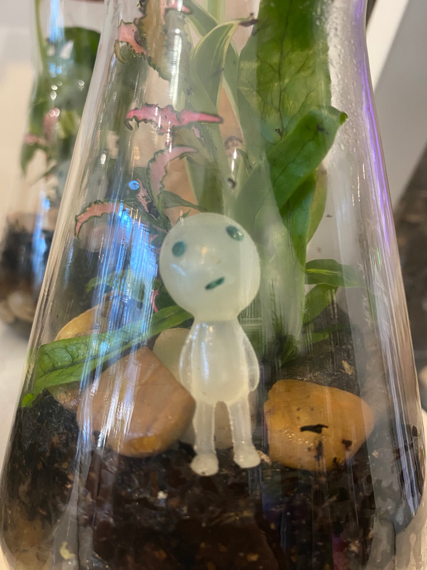 Alien Terrarium (Glow in the Dark)
