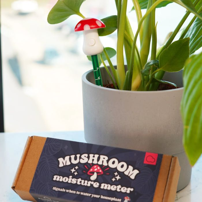 Mushroom Moisture Meter