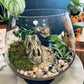 Terrarium Rebuilds