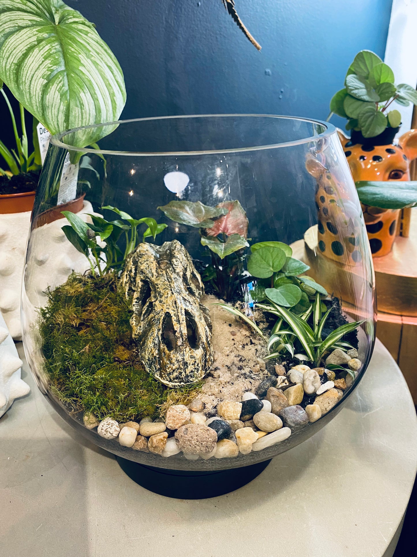 Terrarium Rebuilds