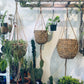 Wicker hanging planters