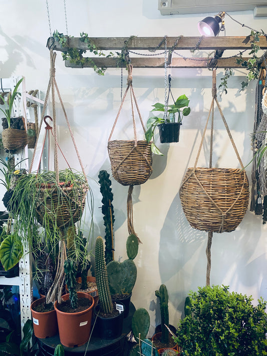 Wicker hanging planters