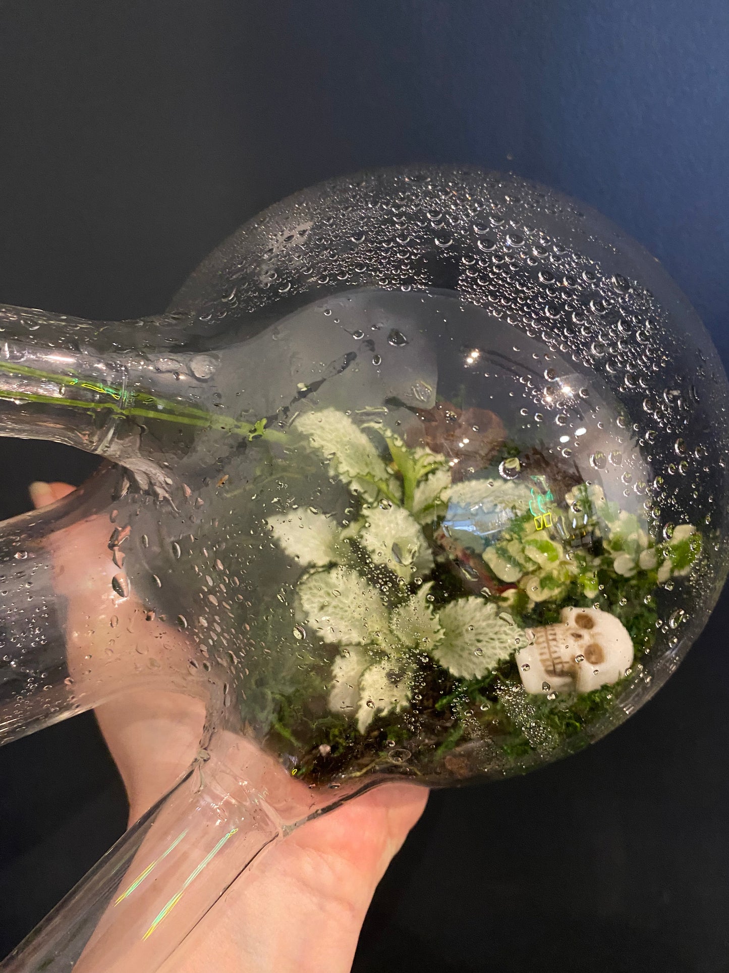 Terrarium Science Vessel