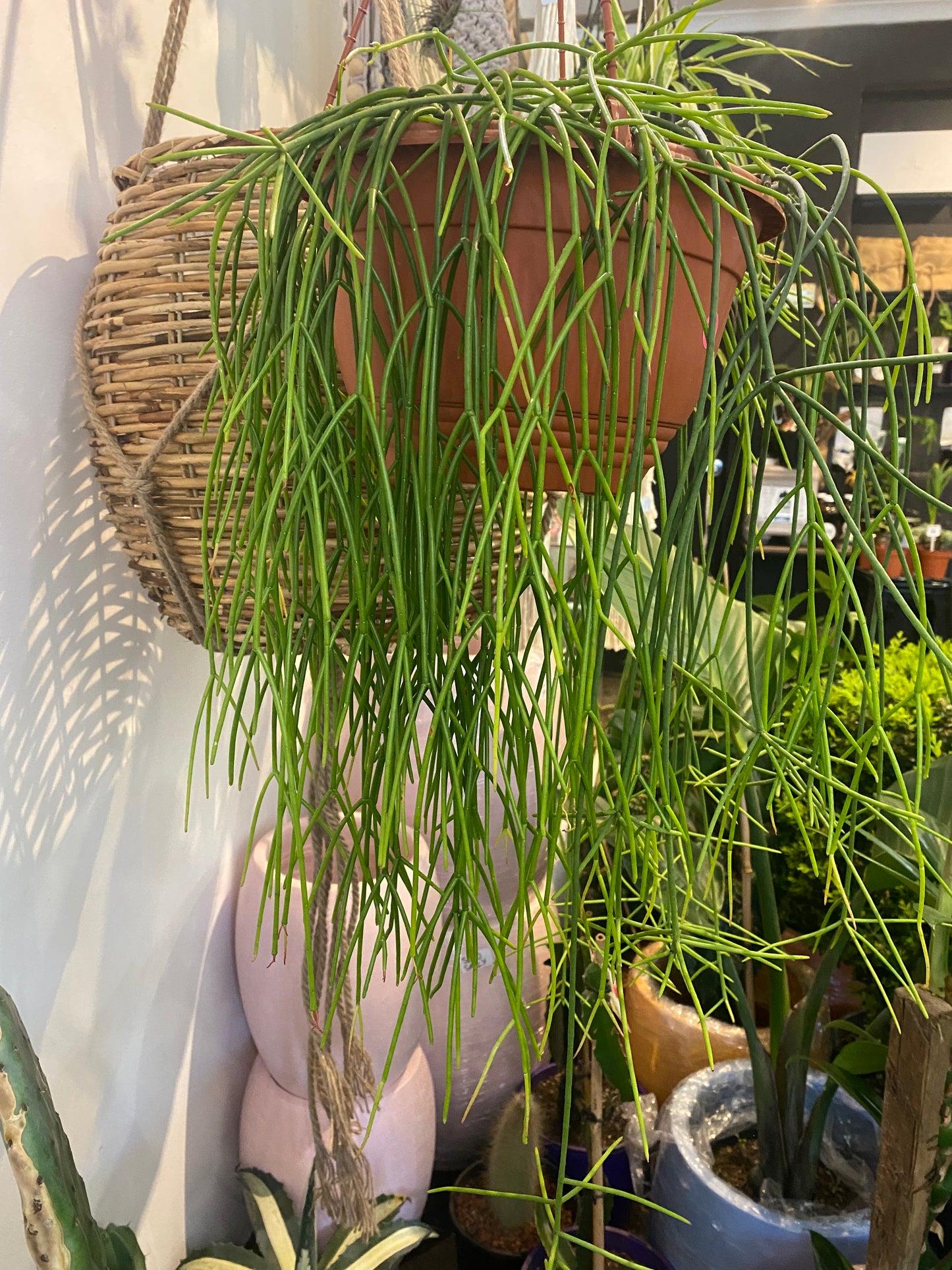 Wicker long hanging basket