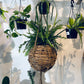 Wicker hanging planters