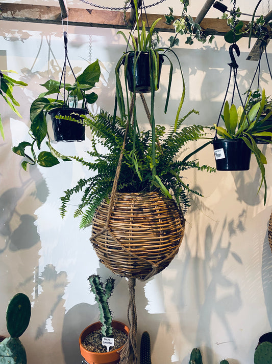 Wicker hanging planters