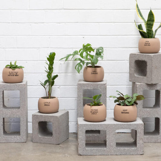 Words planters