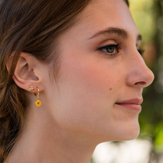 Honey Bee Studs