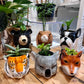 Animal Planters- Ceramic