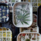 Tray Collection