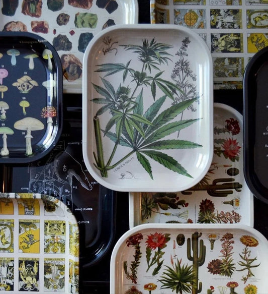 Tray Collection