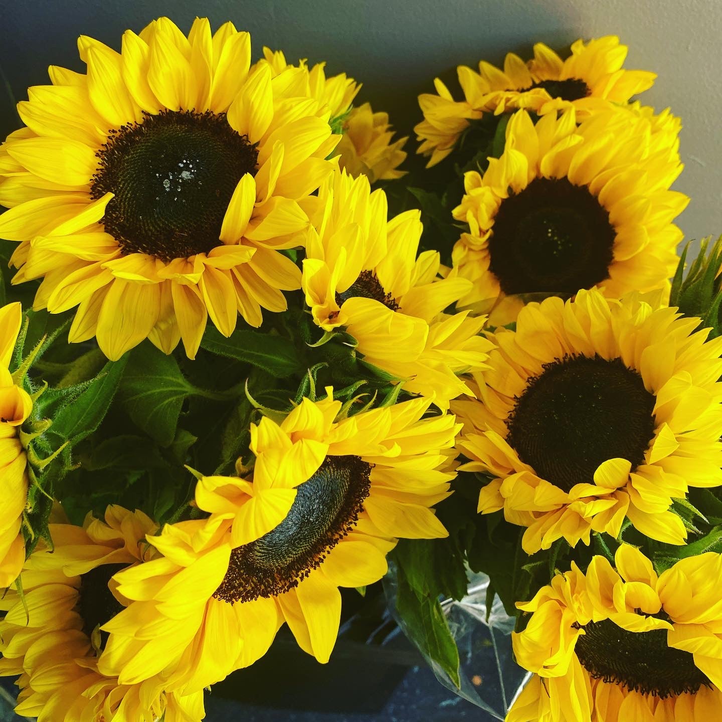 THE ATTRACTION Sunflower Bouquet