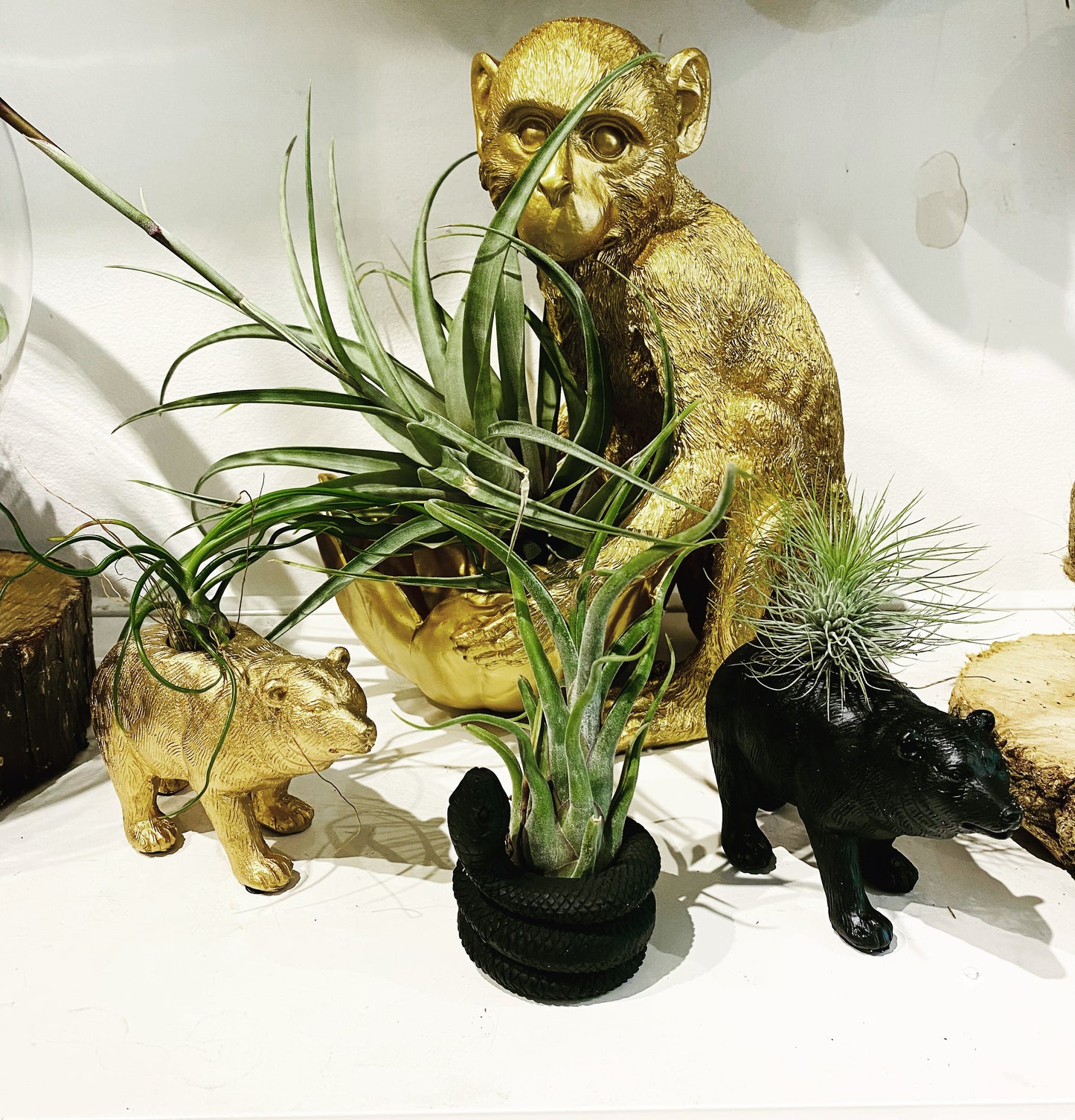 animal air plant holder Air plant Holders – where-the-wild-things-grow-4e0b