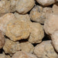 Quartz Geodes Uncracked - Natural