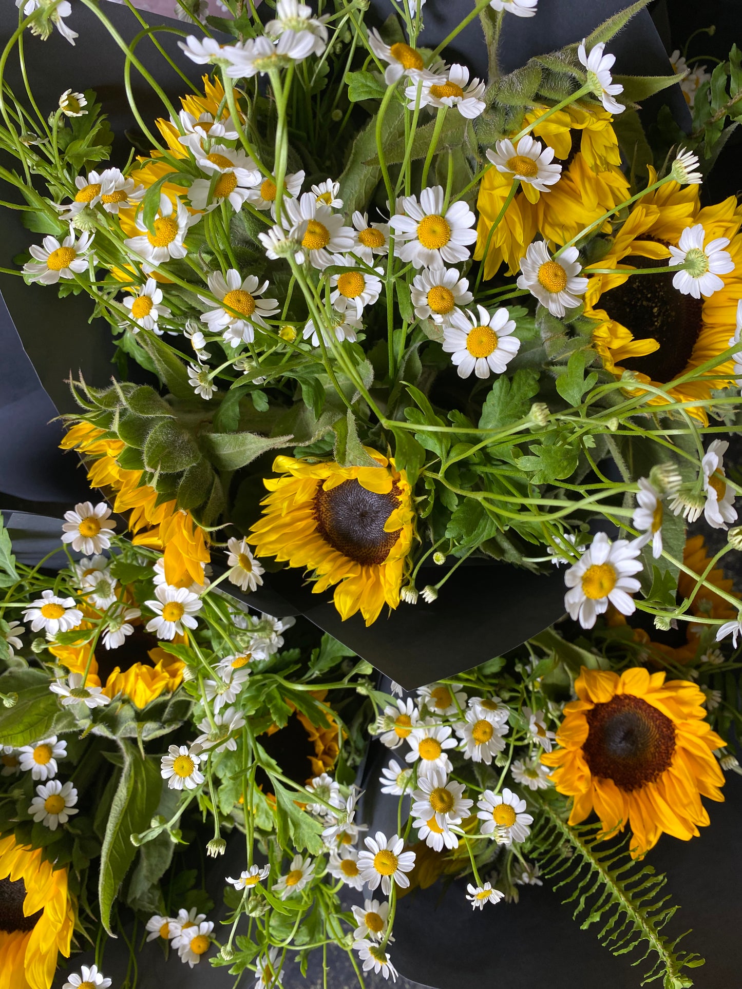 THE ATTRACTION Sunflower Bouquet