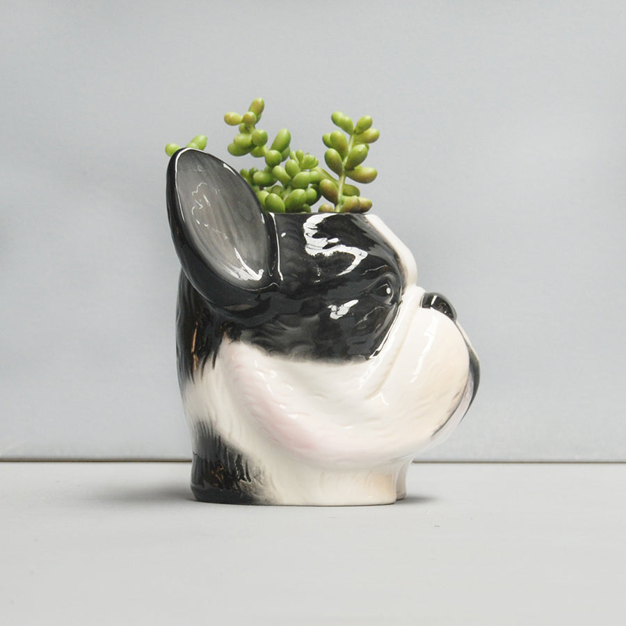 Animal Planters- Ceramic