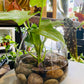 Hydro Display- Large